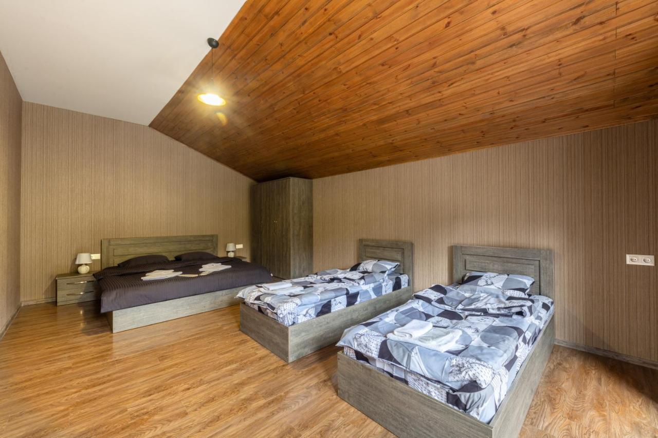 - Didveli Residence Lux Apartments - บาคูเรียนี ภายนอก รูปภาพ