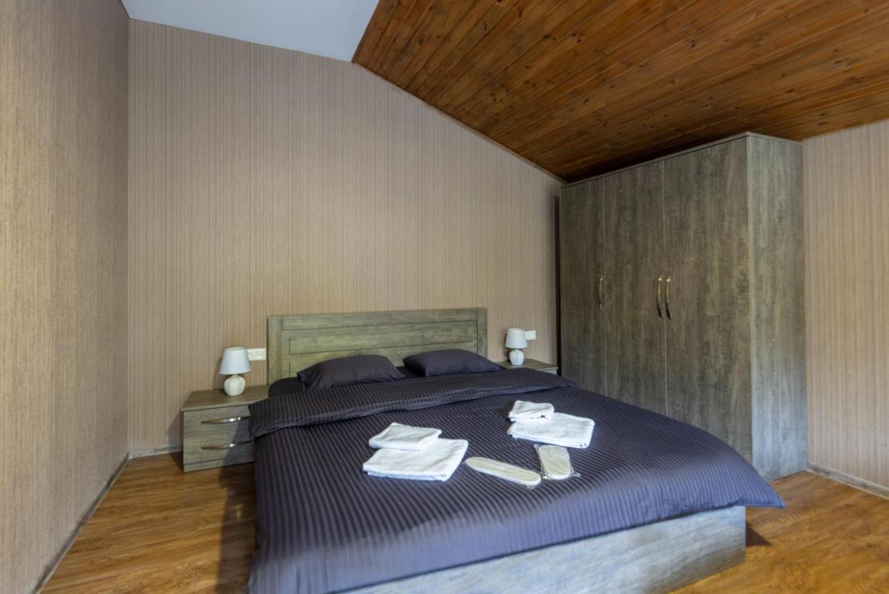 - Didveli Residence Lux Apartments - บาคูเรียนี ภายนอก รูปภาพ