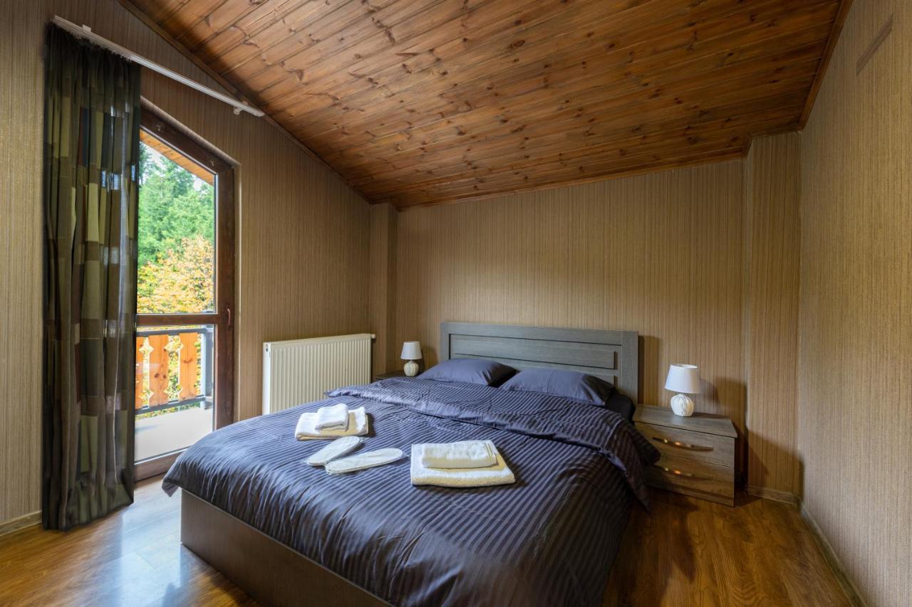 - Didveli Residence Lux Apartments - บาคูเรียนี ภายนอก รูปภาพ